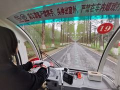 -黄海国家森林公园