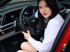 -河南威佳金凯汽车销售服务有限公司