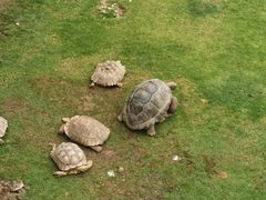 -红月湾海鲜饭店•沙滩海景(双月湾店)