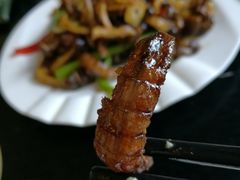 -河畔春天时尚餐厅