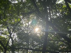 -燕晗山郊野公园