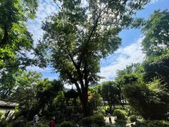 -上海醉白池公园