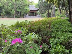-汇龙潭