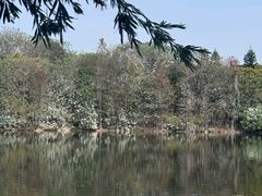 -飞来湖湿地公园