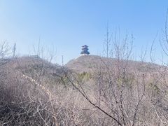 -定都阁
