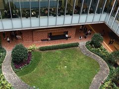 -香港大学