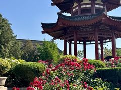 -大慈恩寺(大雁塔)