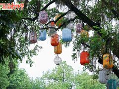 -西溪国家湿地公园