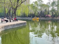 -团结湖公园