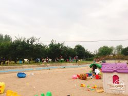 -上美四季动物农场