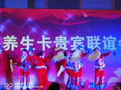 -北京九华山庄会展酒店
