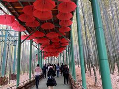 -陶祖圣境风景区