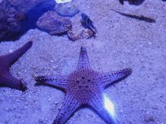 -多彩贵州城极地海洋世界