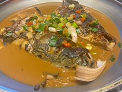 船头鱼-老李家土菜馆·安吉地标美食