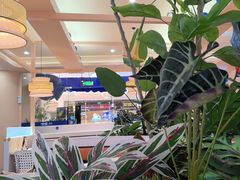 -嗲嗲的椰子鸡・太琼糟粕醋(上海百联又一城店)