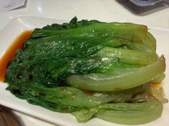 -金鼎轩(方庄天坛店)