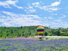 -薰衣草NE庄园