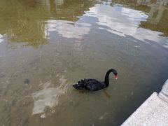 -丽江金茂凯悦臻选酒店-滇香馆