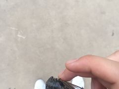 -山东大学千佛山校区-图书馆