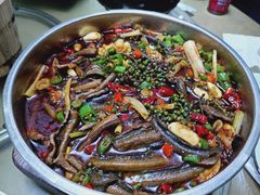 石锅鳝鱼-乐氏荤豆花