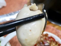 生蚝-濠轩阁特色生蚝火锅(水湾路店)