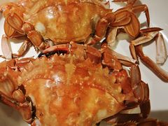-阿毛饭店首店·宁波老字号(文化广场店)