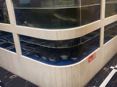 -隆聚·时令海鲜(洪兴店)