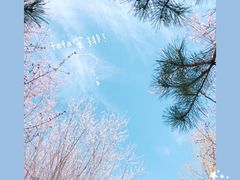 景点-朝阳公园