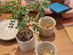 -CURRY YA 熟成咖哩專門店(深圳湾万象城店)