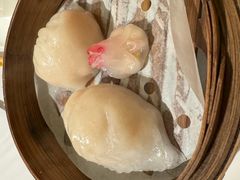 -新同乐鱼翅酒家(美丽华店)