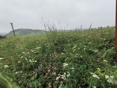 -新疆那拉提国家旅游度假区