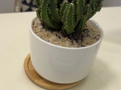-深圳富茂格伦菲尔口腔门诊部(龙华清湖总院)