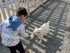 -前小桔亲子创意农场·草莓采摘·露营烧烤