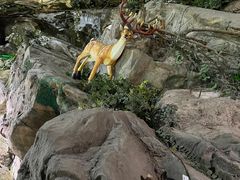 -北京海洋馆