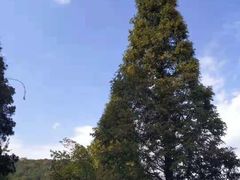 -石燕湖生态旅游景区