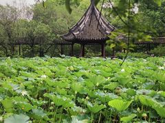 -上海醉白池公园