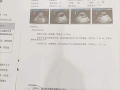 -佑安动物医院·全科·内窥镜中心(幸福巷店)