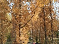 -国家植物园南园