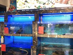 水产区-友强·23年特色海鲜大排档(厦门店)
