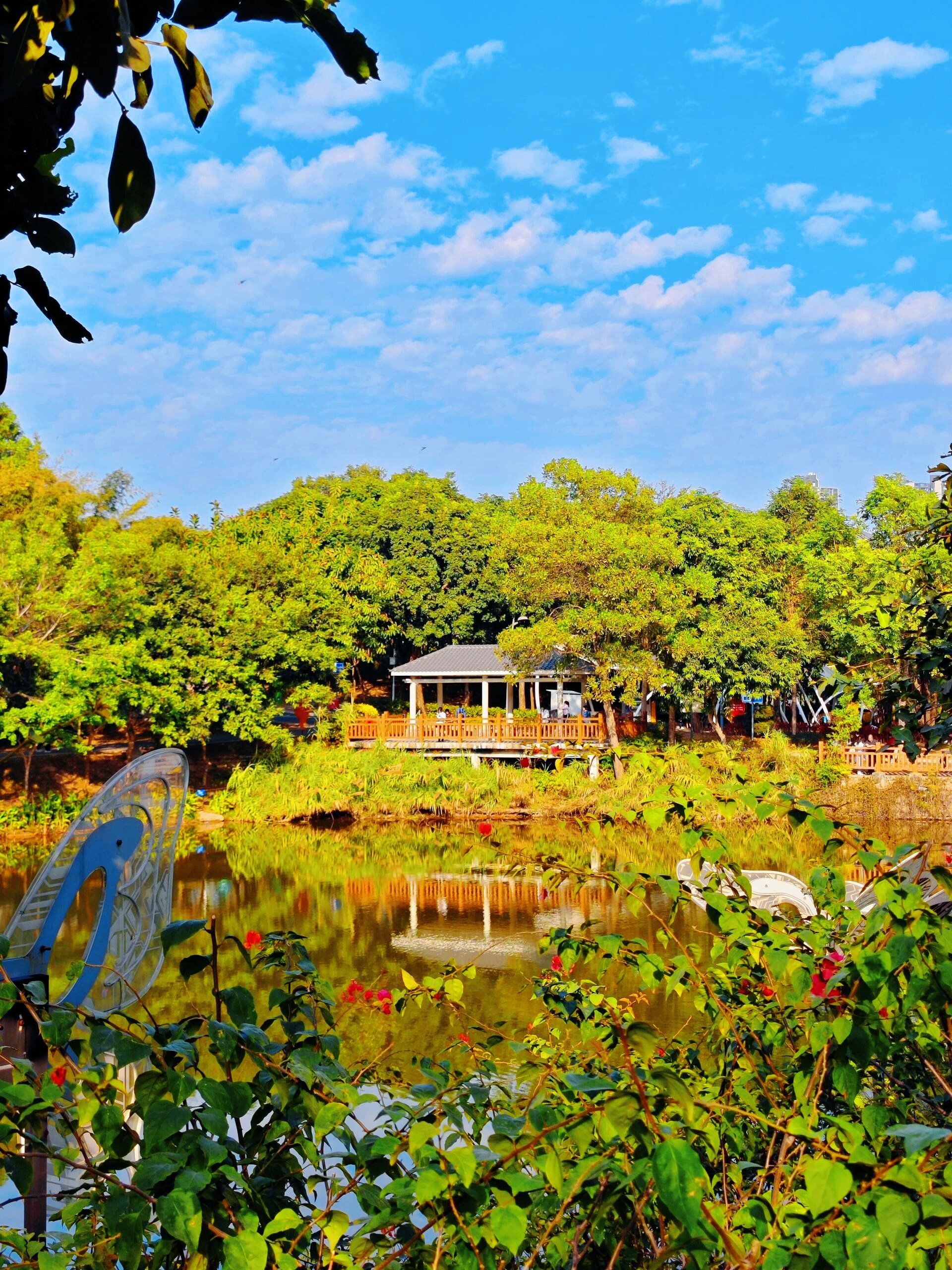 🌳深圳的绿色天堂:体育主题生态自然公园之旅
