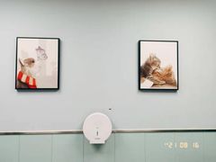 -纳吉亚猫专科动物诊疗中心(蒋宅口分院)