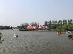 -上海长兴岛郊野公园