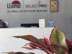 -龙膜全球臻选店·汽车贴膜·隐形车衣(北京琪朗店)