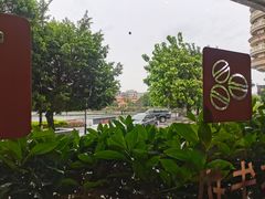 -OLD TREE老树咖啡·西餐厅(台山人工湖店)