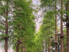 -东湖磨山景区