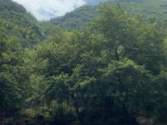 -雅鲁激流探险漂流