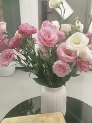 -联合丽格·张菡丽格医疗美容
