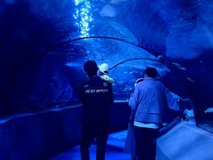 -太平洋海底世界