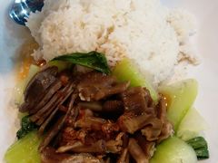 滷水掌翼腎飯-惠记烧腊(常平店)