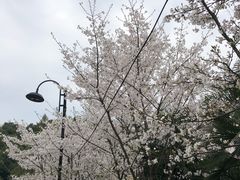 -团城山公园